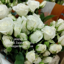 ЖАНІН ( Janin) спрей